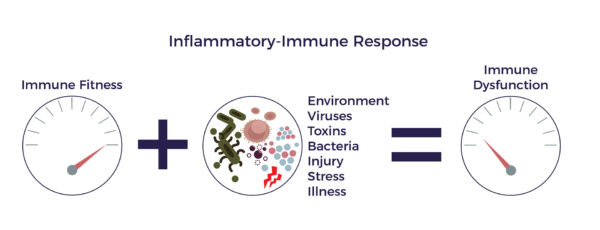Inflammatory Immune Response | AMBROSE Cell Therapy