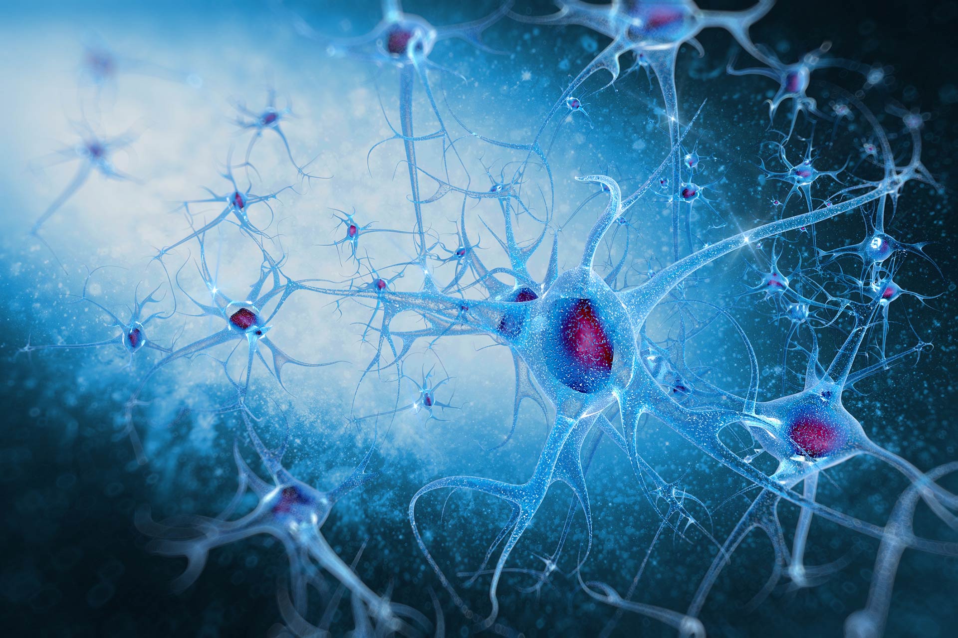 stem cell treatment for neuropathy