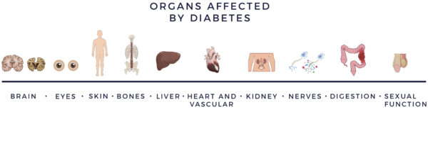 Organs Affected by Diabetes | AMBROSE Cell Therapy for Diabetes