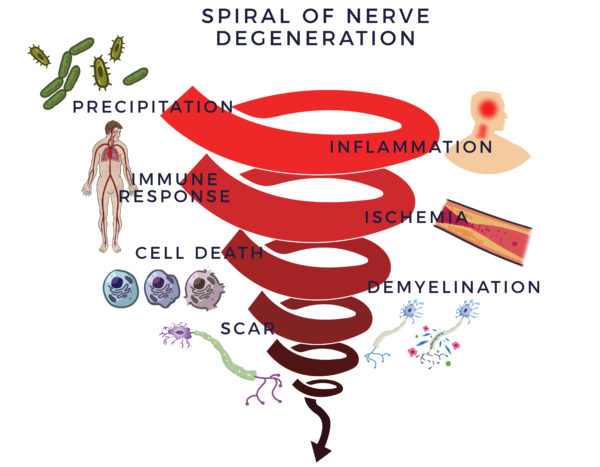 Spiral of Nerve Degeneration | AMBROSE Cell Therapy for Neuropathy